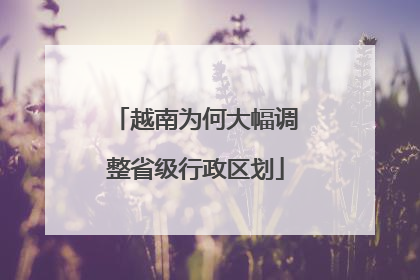 越南为何大幅调整省级行政区划