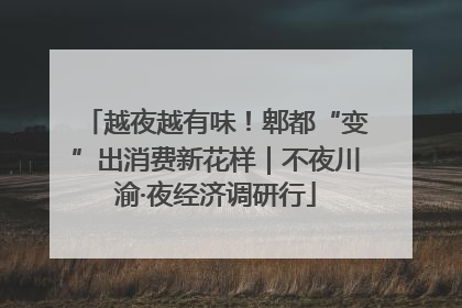 越夜越有味！郫都“变”出消费新花样｜不夜川渝·夜经济调研行