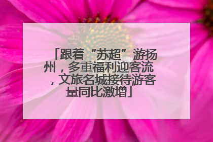 跟着“苏超”游扬州，多重福利迎客流，文旅名城接待游客量同比激增