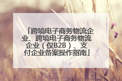 跨境电子商务物流企业、跨境电子商务物流企业（仅B2B）、支付企业备案操作指南