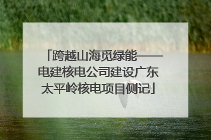 跨越山海觅绿能——电建核电公司建设广东太平岭核电项目侧记