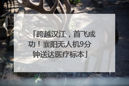 跨越汉江，首飞成功！襄阳无人机9分钟送达医疗标本