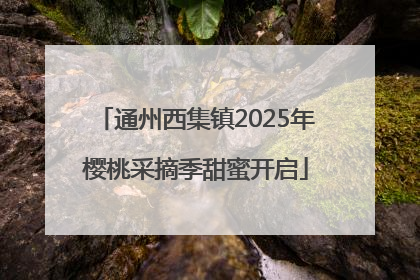 通州西集镇2025年樱桃采摘季甜蜜开启