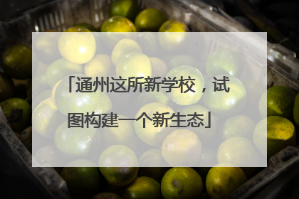 通州这所新学校，试图构建一个新生态