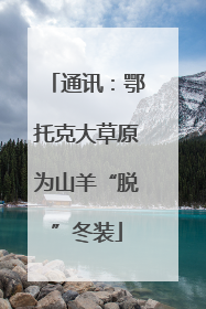 通讯：鄂托克大草原为山羊“脱”冬装
