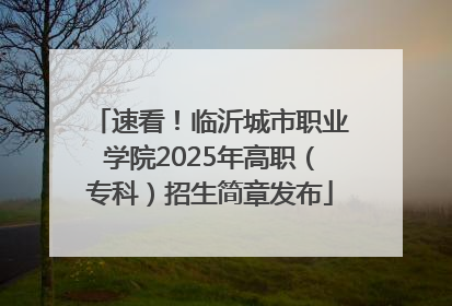 速看！临沂城市职业学院2025年高职（专科）招生简章发布
