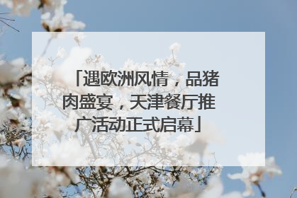 遇欧洲风情，品猪肉盛宴，天津餐厅推广活动正式启幕