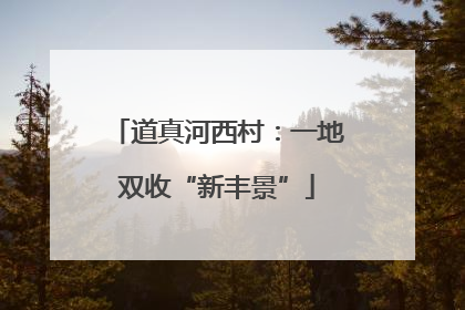 道真河西村：一地双收“新丰景”