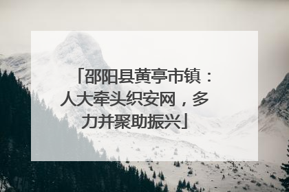 邵阳县黄亭市镇：人大牵头织安网，多力并聚助振兴