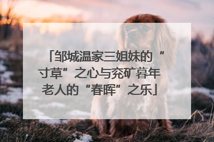邹城温家三姐妹的“寸草”之心与兖矿暮年老人的“春晖”之乐