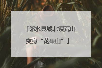 邻水县城北镇荒山变身“花果山”