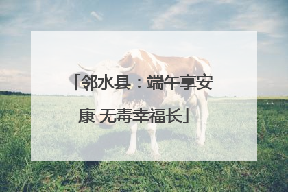 邻水县：端午享安康 无毒幸福长