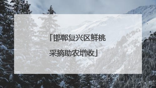 邯郸复兴区鲜桃采摘助农增收