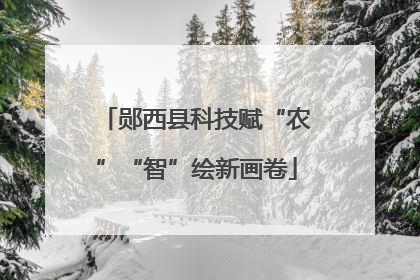郧西县科技赋“农”“智”绘新画卷