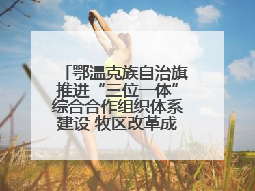 鄂温克族自治旗推进“三位一体”综合合作组织体系建设 牧区改革成果丰硕