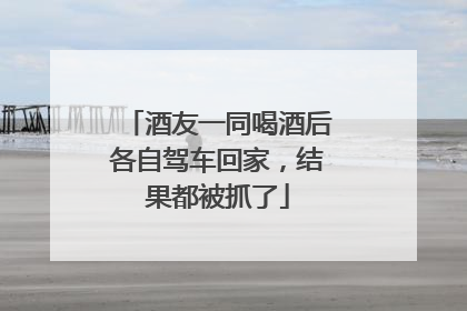 酒友一同喝酒后各自驾车回家，结果都被抓了