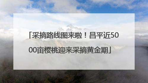 采摘路线图来啦！昌平近5000亩樱桃迎来采摘黄金期