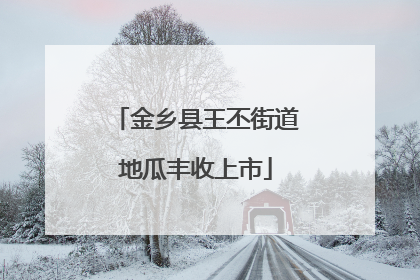 金乡县王丕街道地瓜丰收上市