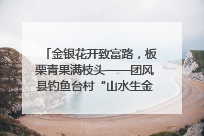 金银花开致富路，板栗青果满枝头——团风县钓鱼台村“山水生金”谱写共富新篇章