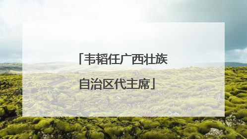 韦韬任广西壮族自治区代主席