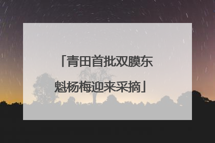 青田首批双膜东魁杨梅迎来采摘