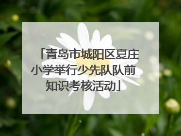 青岛市城阳区夏庄小学举行少先队队前知识考核活动