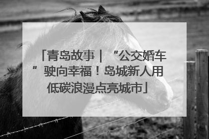 青岛故事｜“公交婚车”驶向幸福！岛城新人用低碳浪漫点亮城市