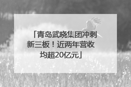青岛武晓集团冲刺新三板！近两年营收均超20亿元