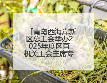青岛西海岸新区总工会举办2025年度区直机关工会主席专题培训班
