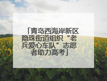 青岛西海岸新区隐珠街道组织“老兵爱心车队”志愿者助力高考