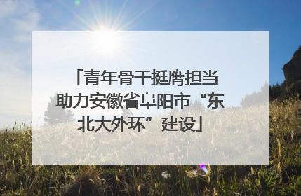 青年骨干挺膺担当 助力安徽省阜阳市“东北大外环”建设