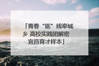 青春“医”线牵城乡 高校实践团解密宜昌育才样本
