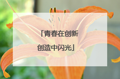 青春在创新创造中闪光