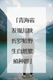 青海省发现川陕哲罗鲑野生自然繁殖种群