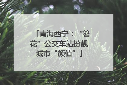 青海西宁：“簪花”公交车站扮靓城市“颜值”