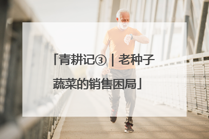 青耕记③｜老种子蔬菜的销售困局