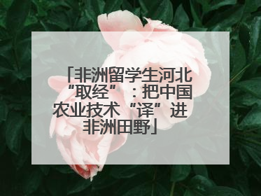 非洲留学生河北“取经”：把中国农业技术“译”进非洲田野