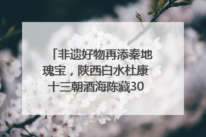 非遗好物再添秦地瑰宝，陕西白水杜康十三朝酒海陈藏30年别具一格