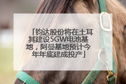 钧达股份将在土耳其建设5GW电池基地，阿曼基地预计今年年底建成投产