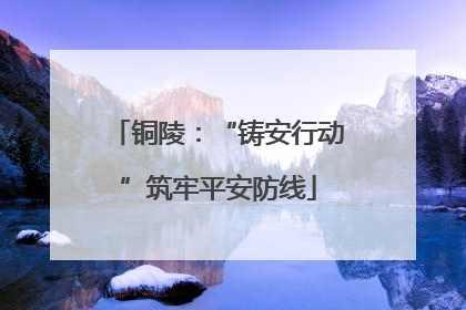 铜陵：“铸安行动”筑牢平安防线