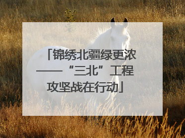 锦绣北疆绿更浓——“三北”工程攻坚战在行动