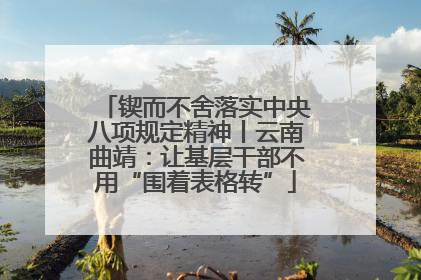 锲而不舍落实中央八项规定精神丨云南曲靖：让基层干部不用“围着表格转”