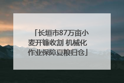长垣市87万亩小麦开镰收割 机械化作业保障夏粮归仓