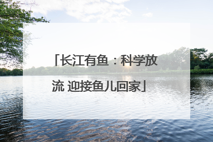 长江有鱼：科学放流 迎接鱼儿回家