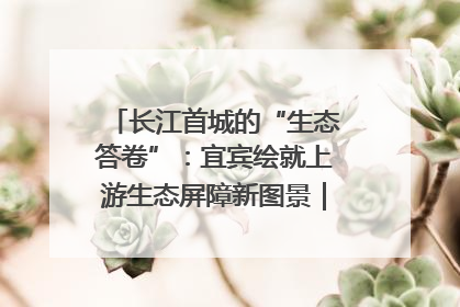 长江首城的“生态答卷”：宜宾绘就上游生态屏障新图景｜中华环保世纪行