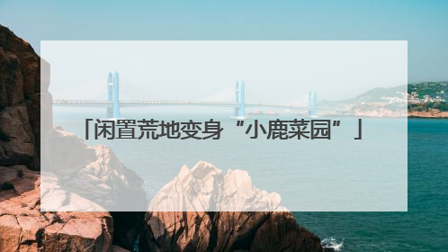 闲置荒地变身“小鹿菜园”