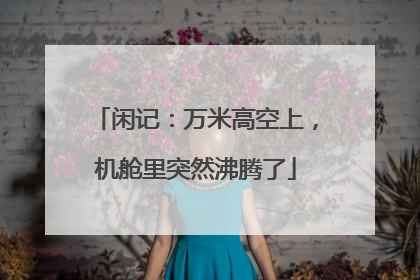 闲记：万米高空上，机舱里突然沸腾了
