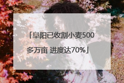 阜阳已收割小麦500多万亩 进度达70%