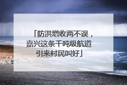 防洪增收两不误，嘉兴这条千吨级航道引来村民叫好