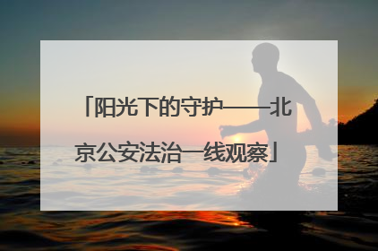 阳光下的守护——北京公安法治一线观察